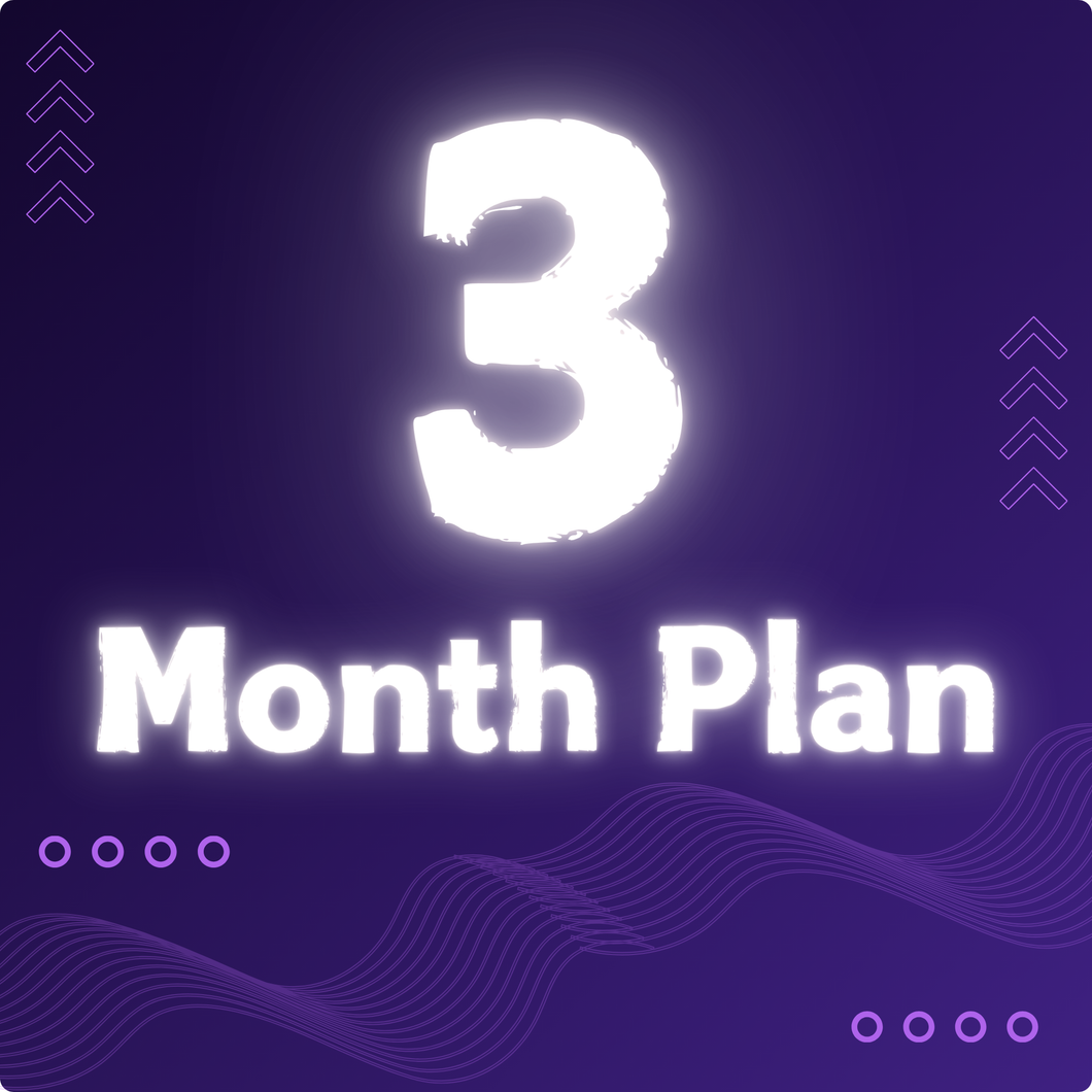 3 Month Worldwide Plan